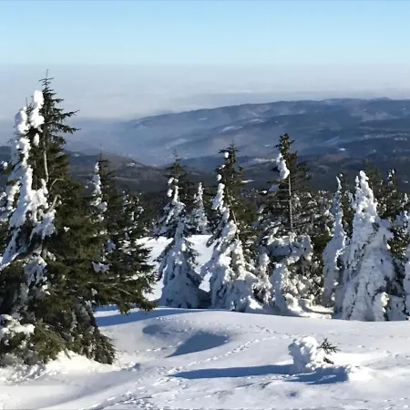 Ferienhaus Kirchturmblick Bei Quedlinburg Hoym