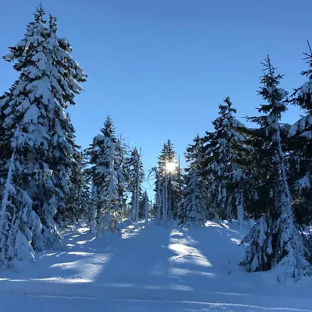 Kirchturmblick Bei Quedlinburg Ferienhaus *
