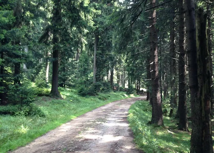 Kirchturmblick Bei Quedlinburg