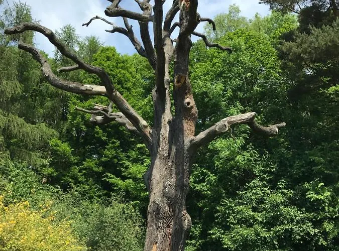 Kirchturmblick Bei Quedlinburg Сasa de vacaciones Hoym
