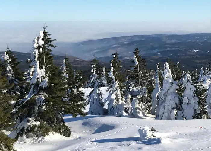 Сasa de vacaciones Kirchturmblick Bei Quedlinburg Hoym