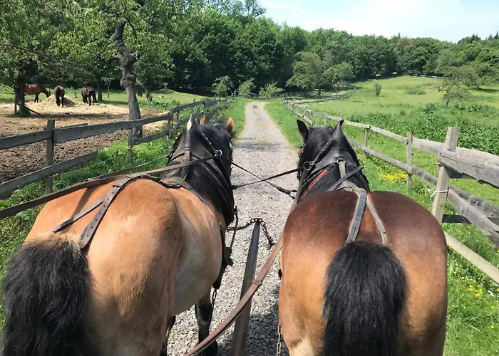 Kirchturmblick Bei Quedlinburg Сasa de vacaciones